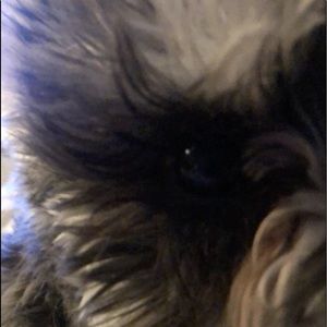 Meet your Posher, Christopher